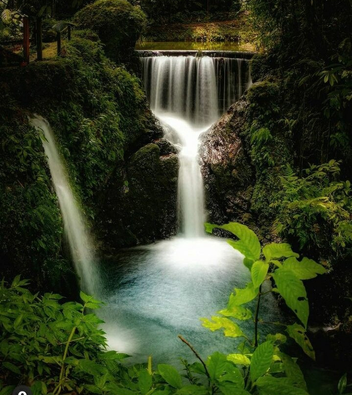 Pozas Y Cascadas La Presa景点图片