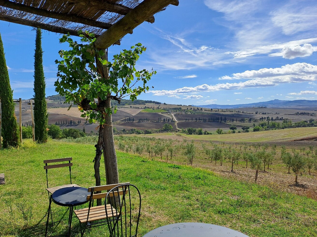 Azienda Agricola CasaGori-皮恩扎必去景点