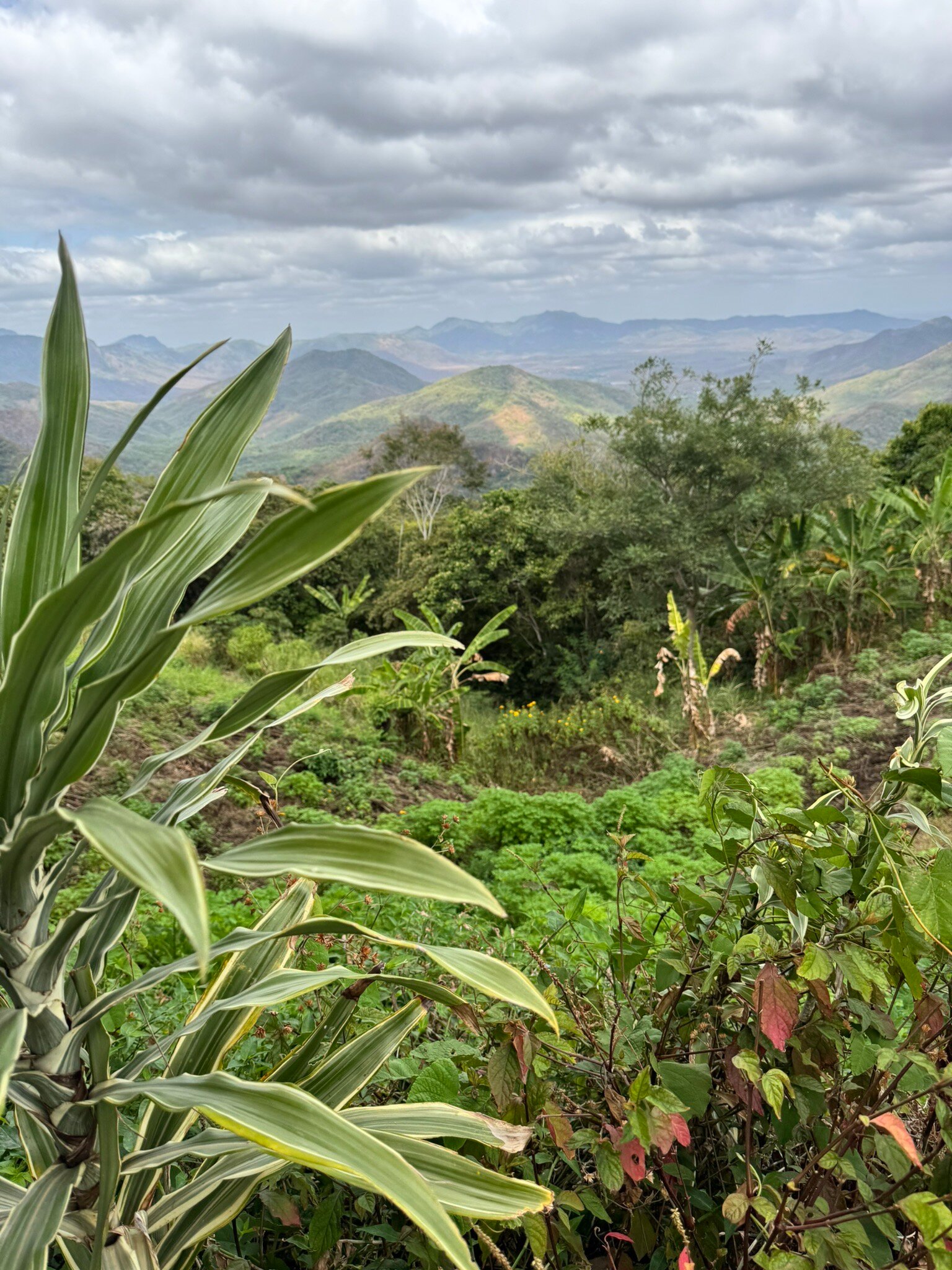 Pousada Le Monte Cristo-官方