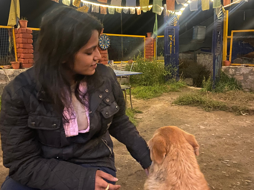 The Wanderer’s Nest主图