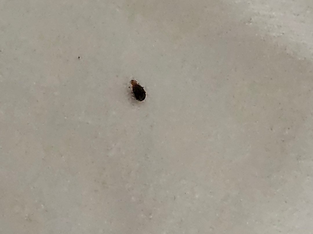 Mercury Inn Hotel主图