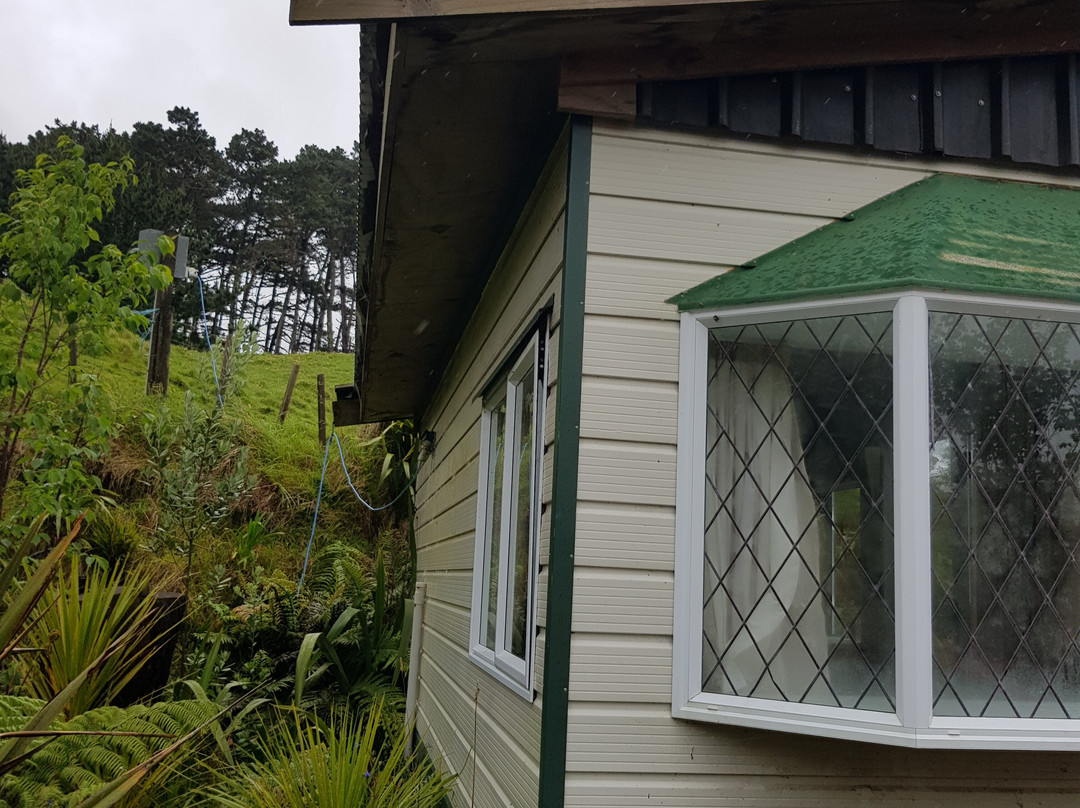 Nikau Cave-Waikaretu必去景点