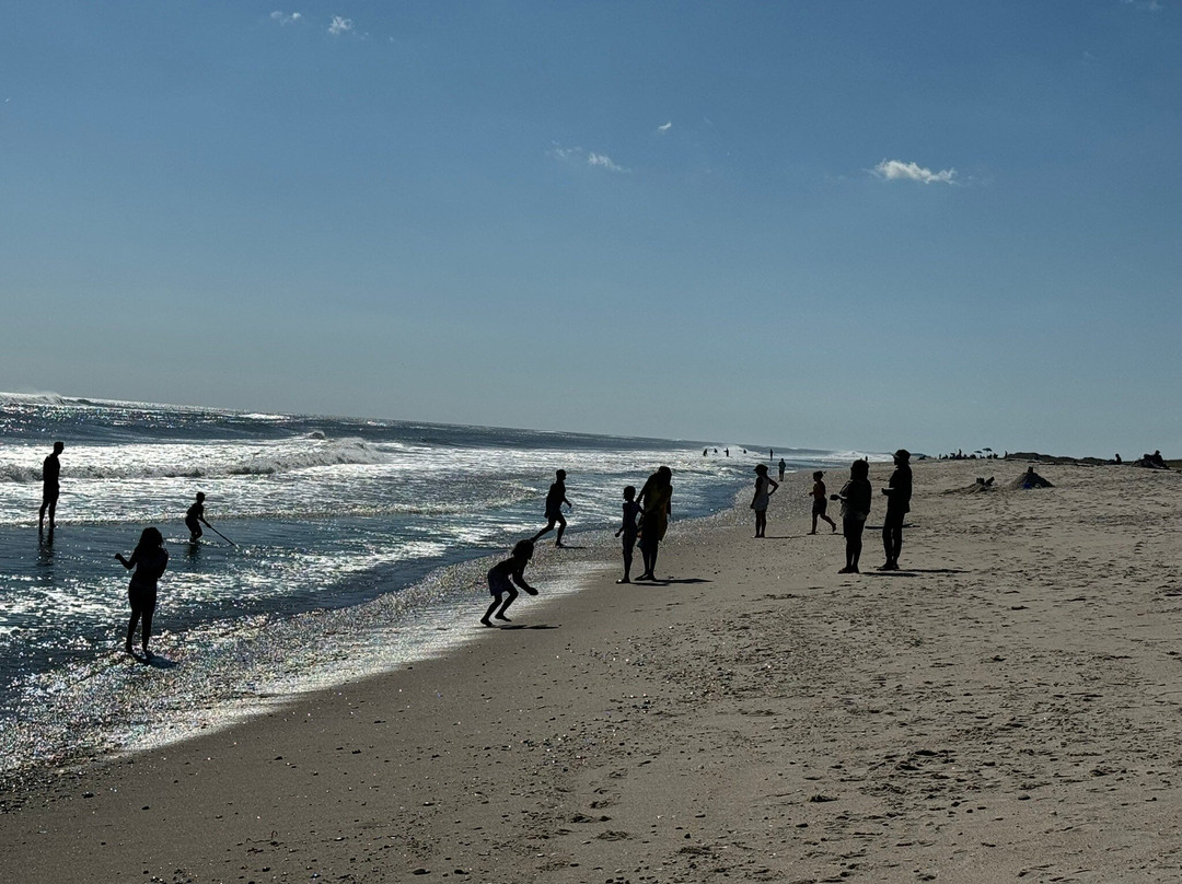 Smith Point Beach景点图片
