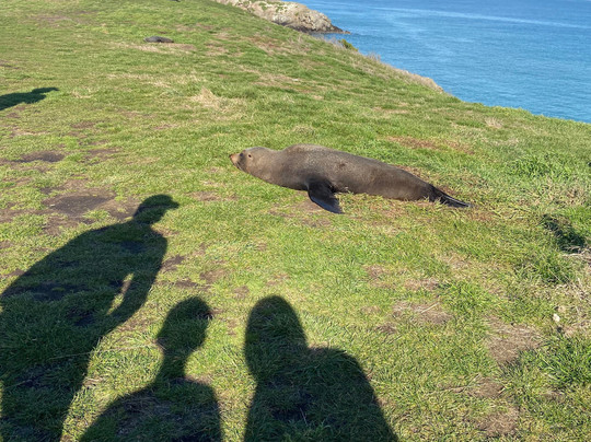 Awesome旅游服务-但尼丁必去景点