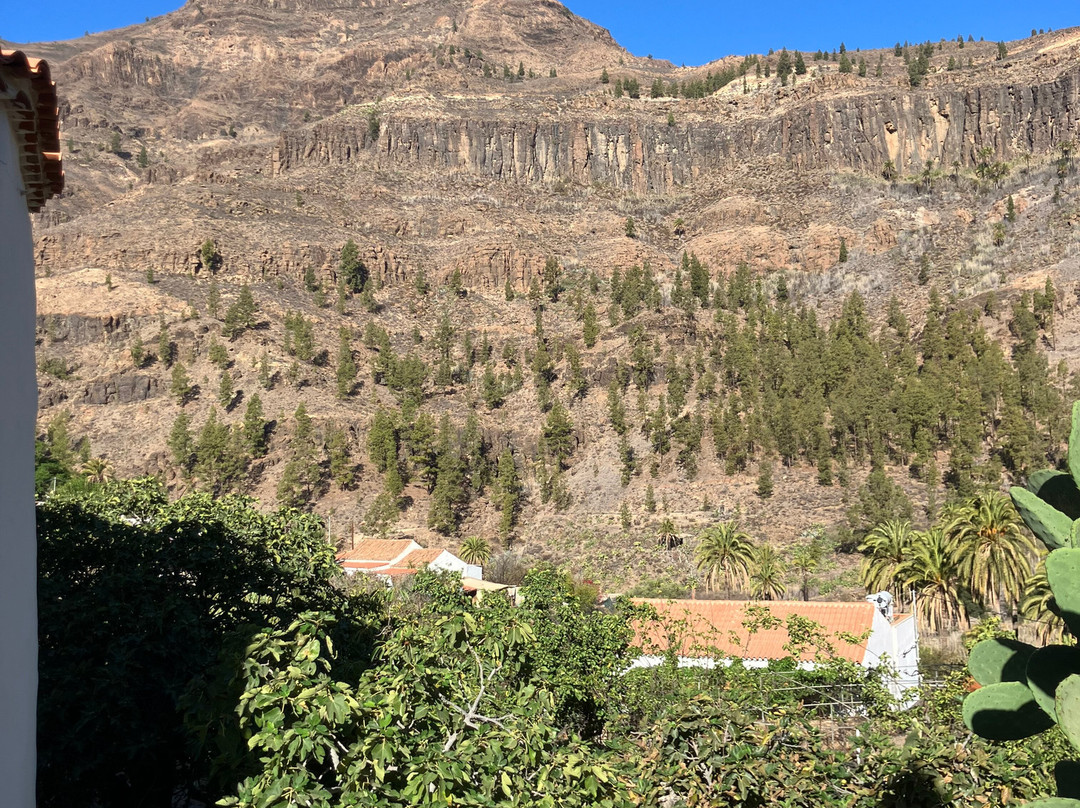 Olli Mar Excursions S.l.u.-Playa de Mogan必去景点