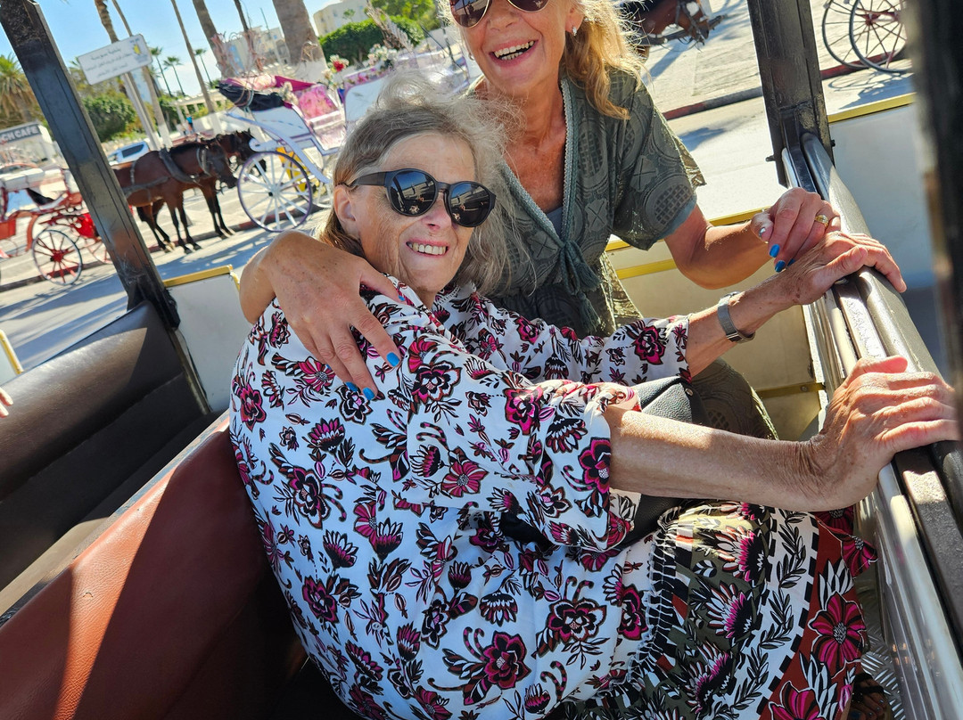 Noddy Train-康大维港必去景点