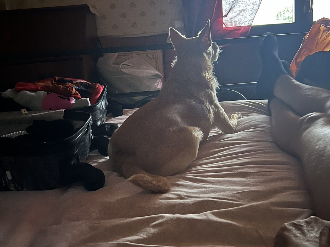 B&B Dora e Flavio主图