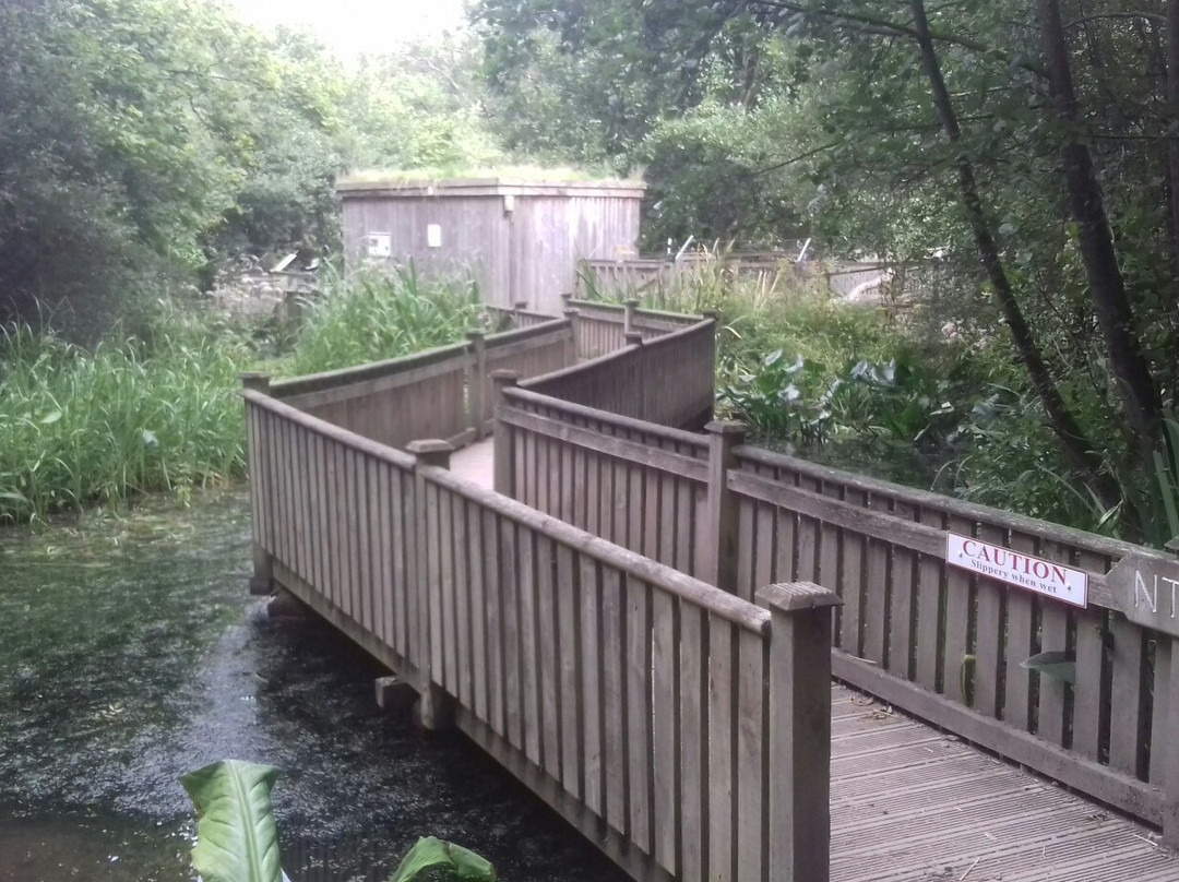 Conwy Water Gardens景点图片