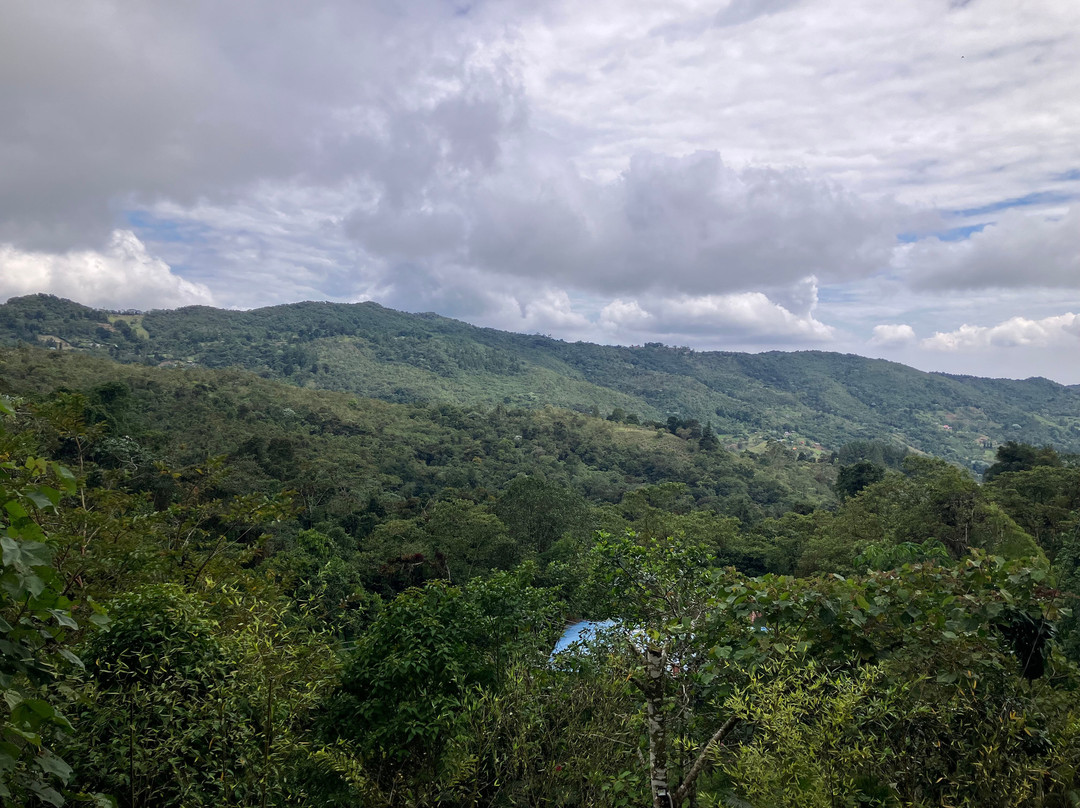 Finca Alejandria "El Paraiso de los Colibries"景点图片