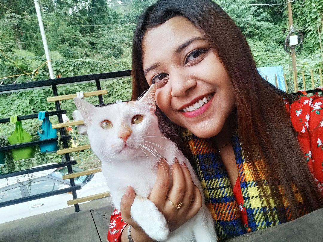 Hill 66 Kurseong
