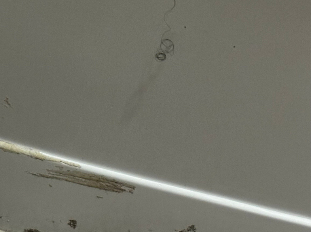 Red Roof Inn Allentown South主图