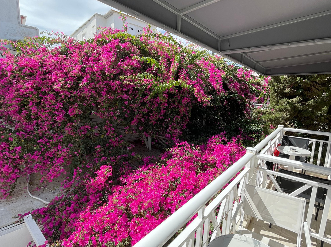 阿波罗精品酒店主图