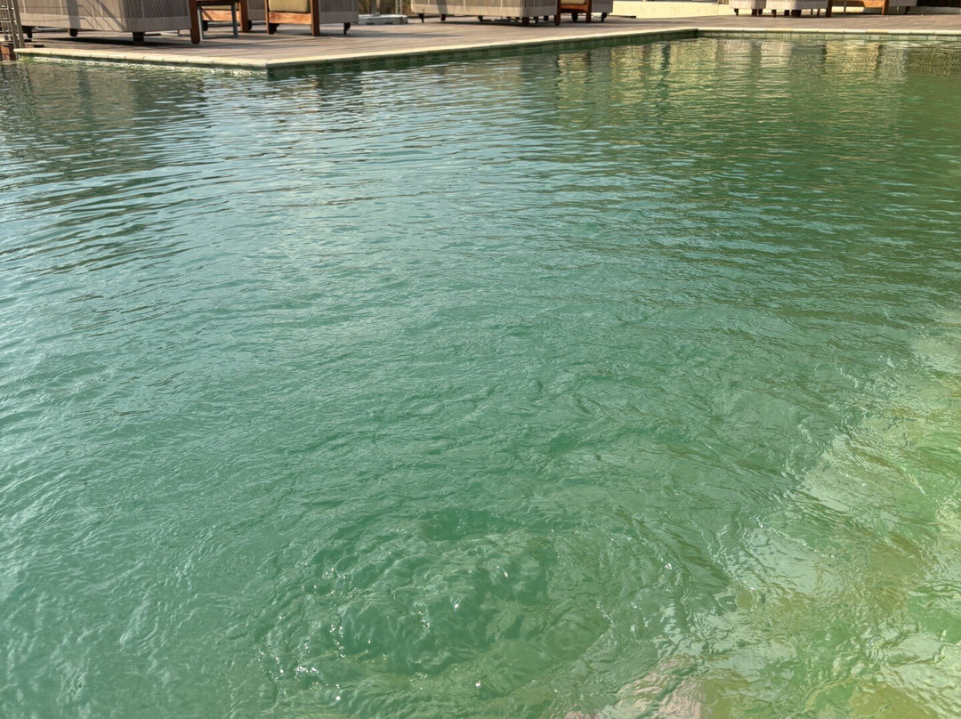 Letamo at Qwabi Private Game Reserve主图