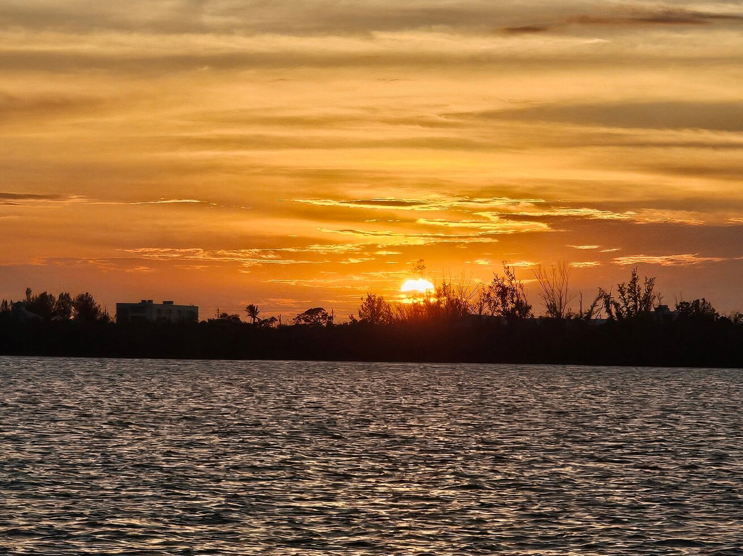 Lemon Bay Tours-恩格尔伍德必去景点