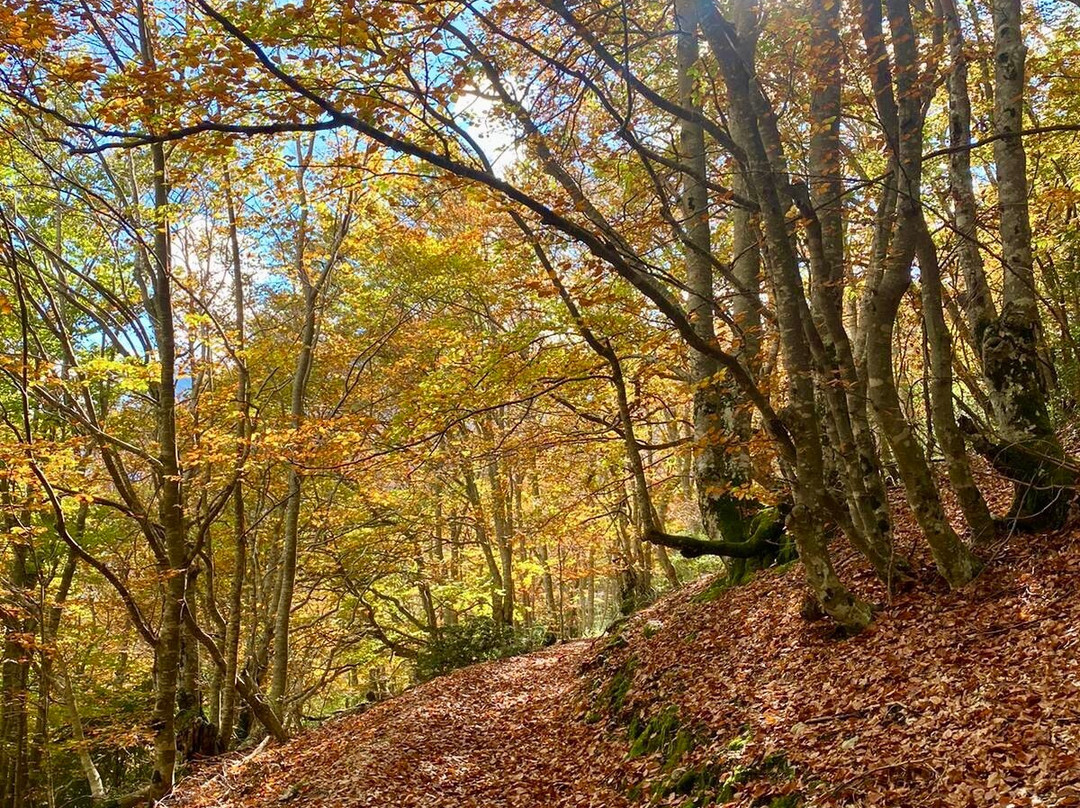 Vallon De Combeau景点图片