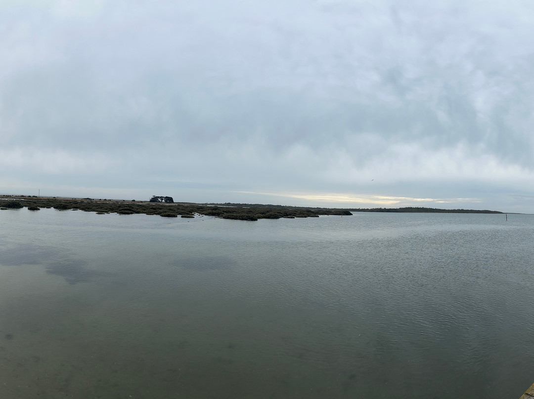 Manns beach-Port Albert必去景点