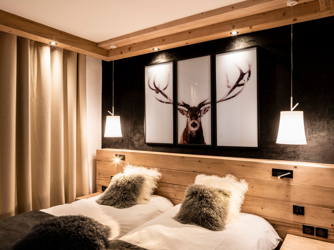 Hôtel Les Mélèzes***主图