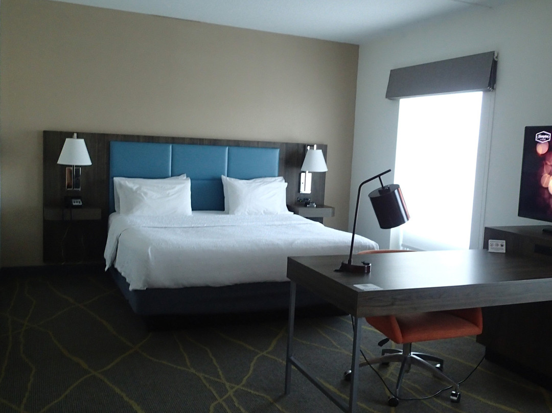 Hampton Inn & Suites Palm Coast主图