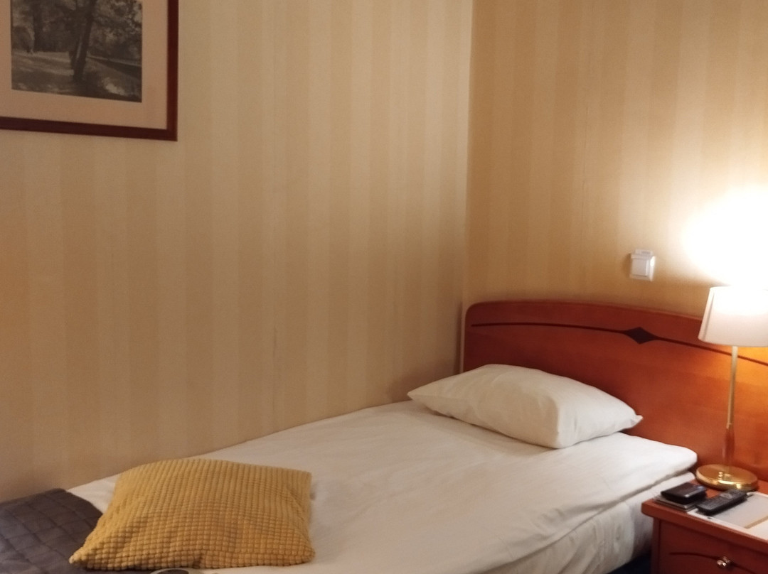 Focus Hotel Premium Pod Orłem主图