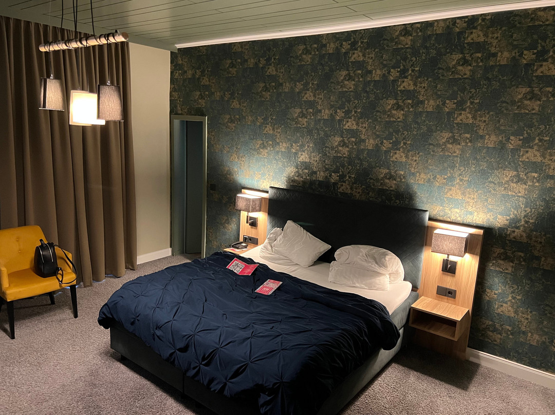 Harz Hotel & Spa Seela主图