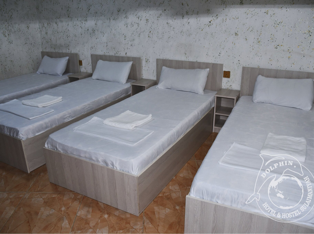 Dolphin Hotel & Hostel主图