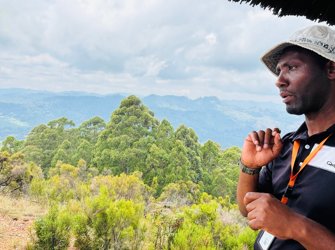 Usambara Mountains-Nkongoi必去景点