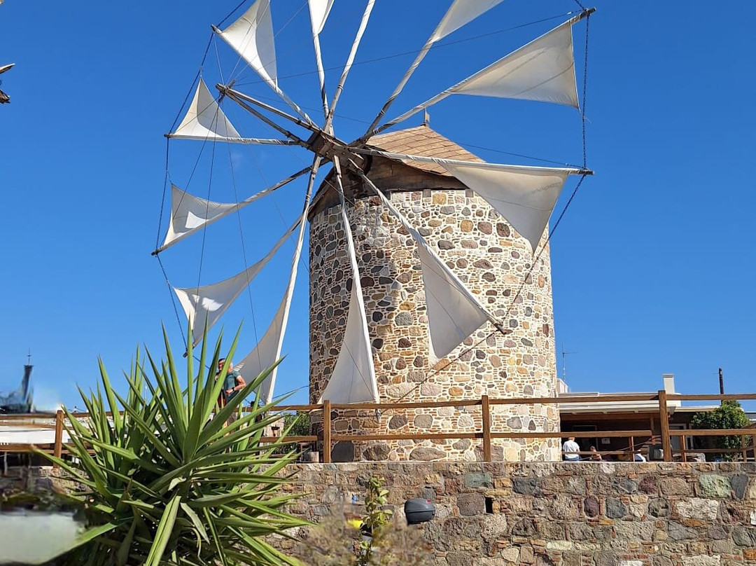 Kos Private Tours-Kos Town必去景点