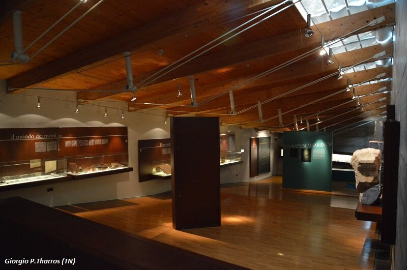 Museo Retico景点图片