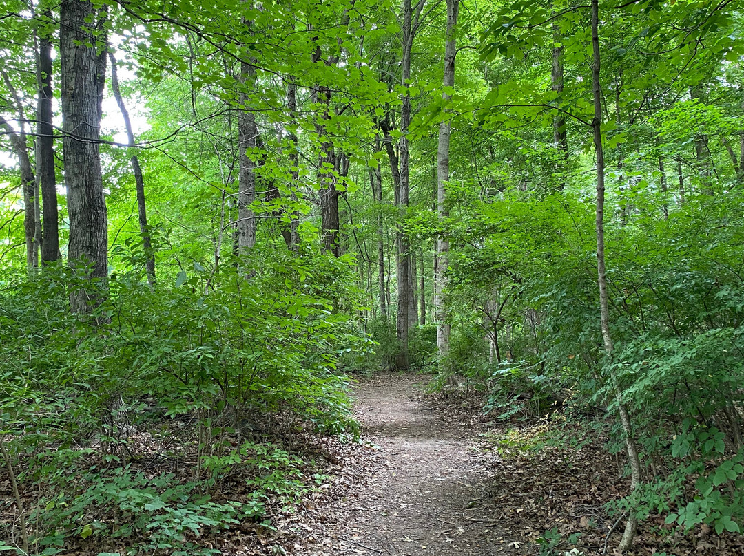 George Rogers Clark Park-斯普林菲尔德必去景点