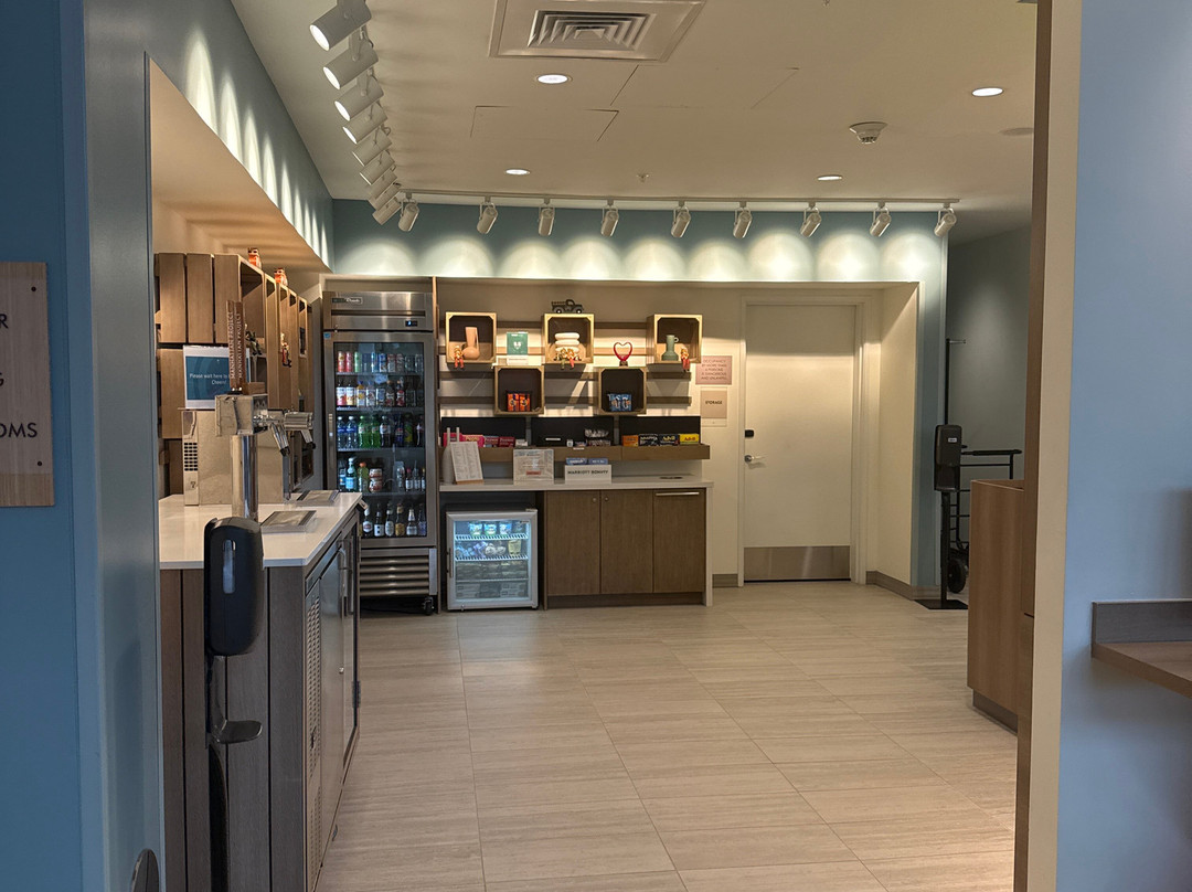 Element Dallas Richardson主图