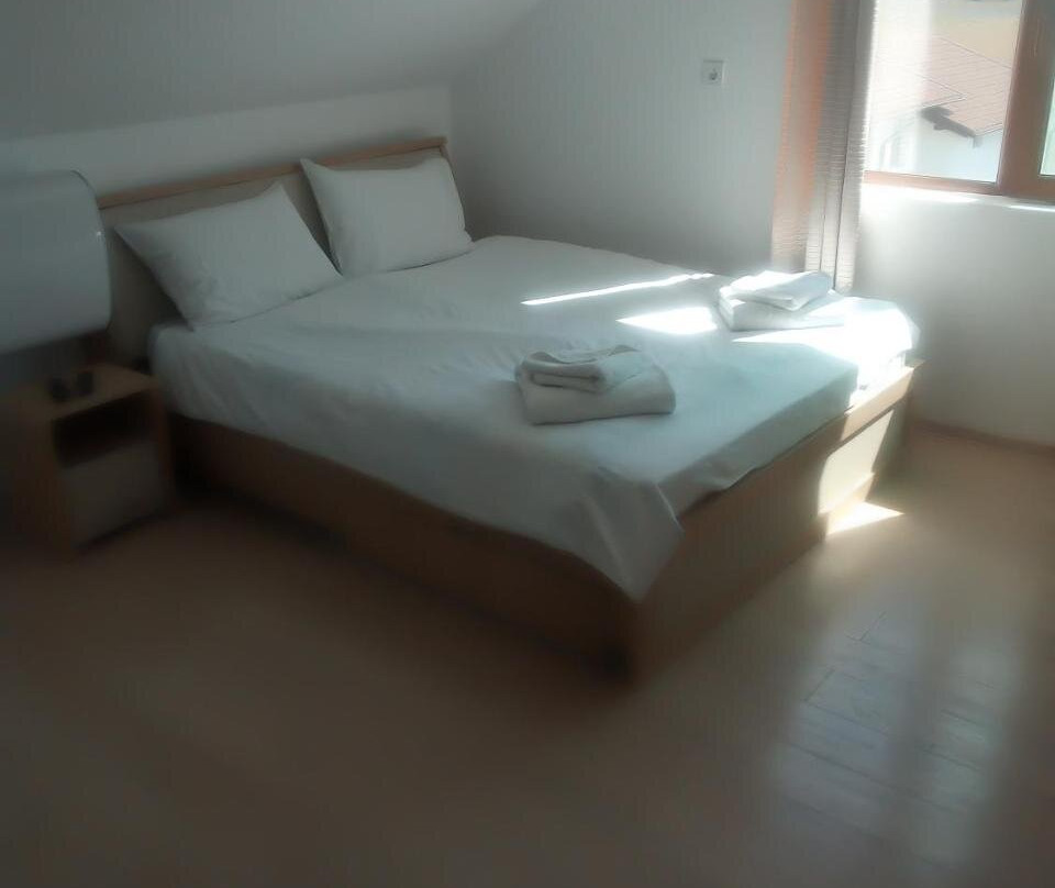Casa Puiu