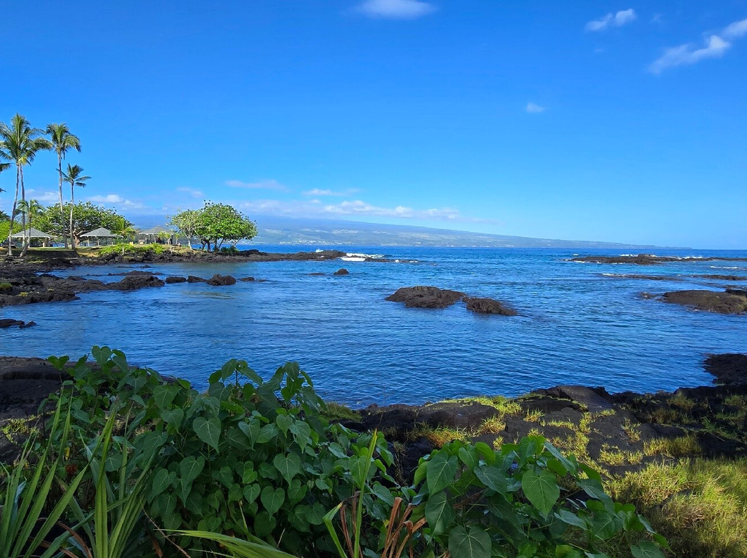 Hilo Guitars and Ukuleles-希洛必去景点
