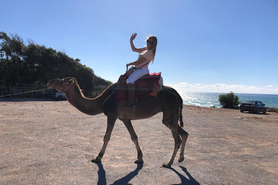 selected tours tangier-丹吉尔必去景点