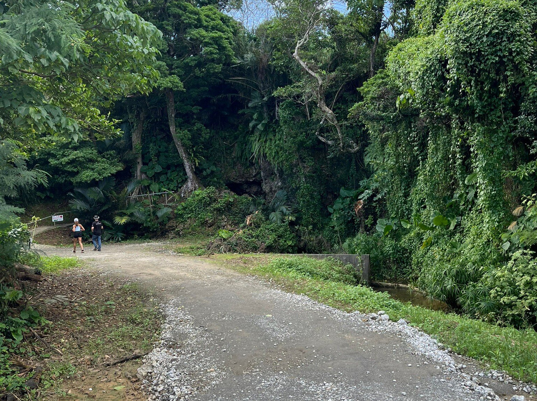 Cave Okinawa-宇流麻市必去景点