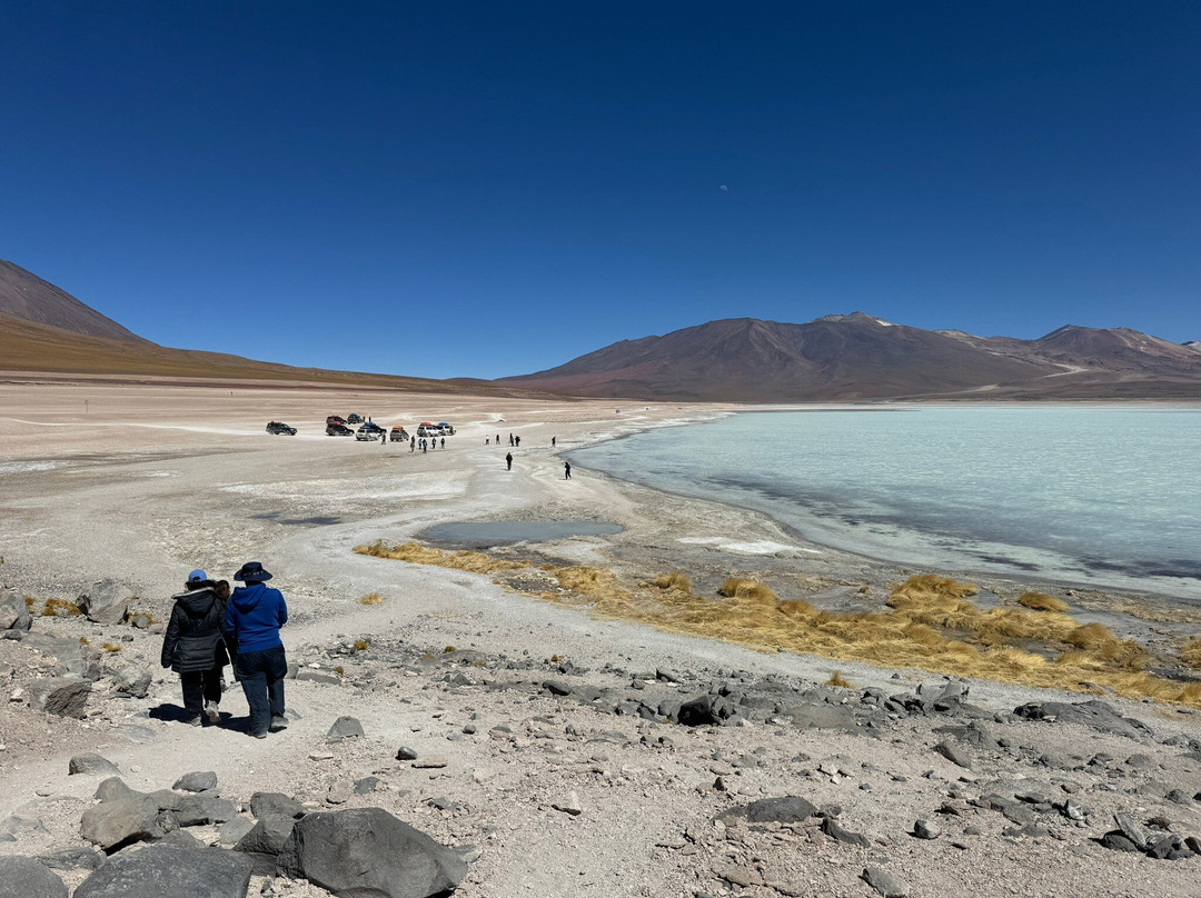 Laguna Verde景点图片