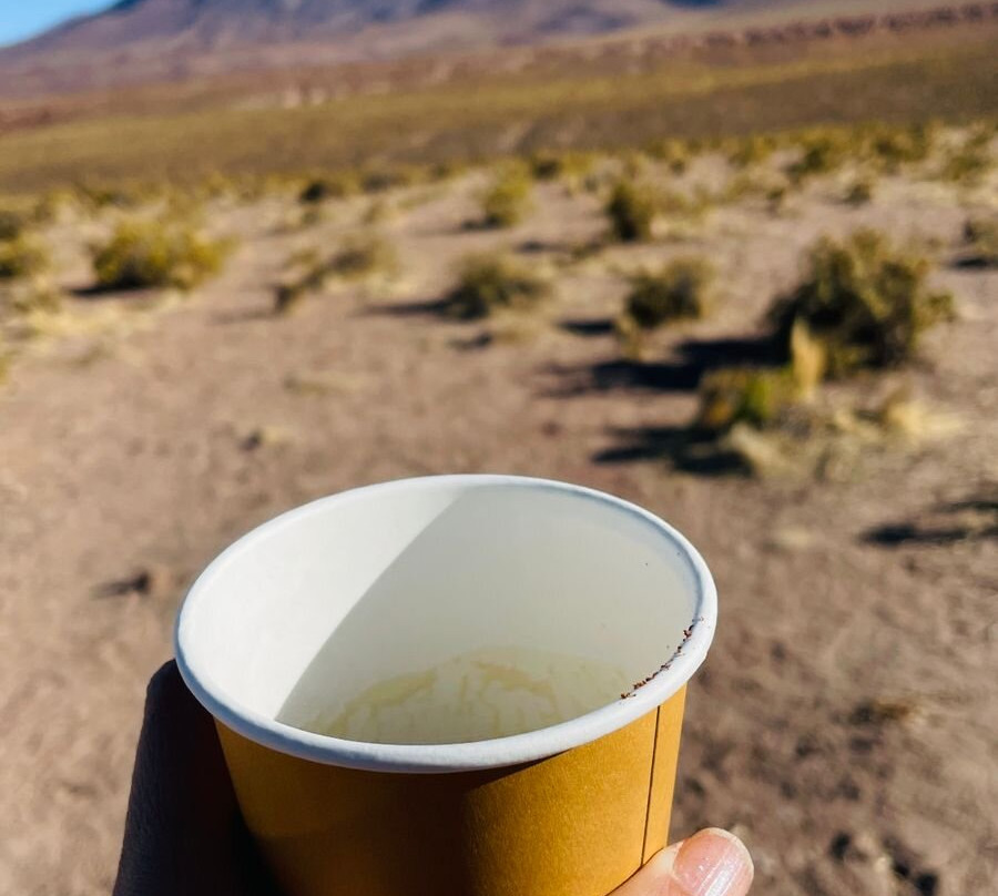 Volcán Licancabur景点图片