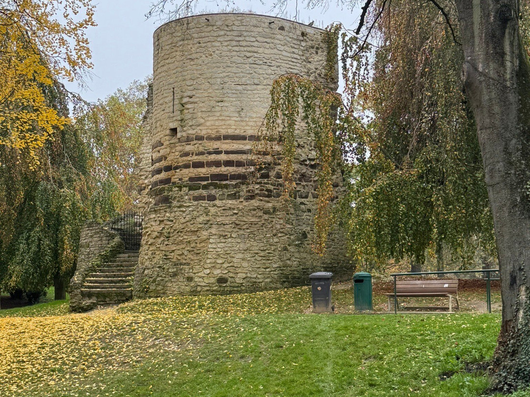 Sint-Donatuspark-鲁汶必去景点