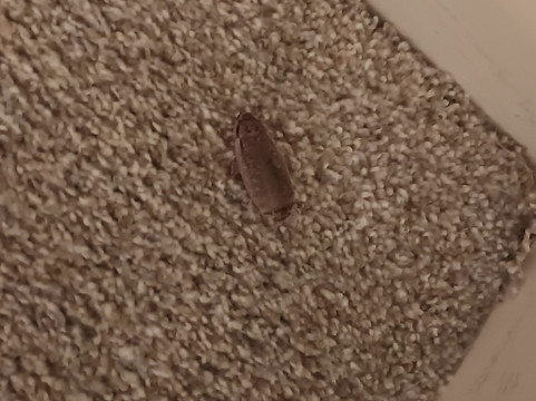 库西欧悦酒店主图