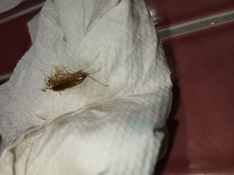 库西欧悦酒店主图