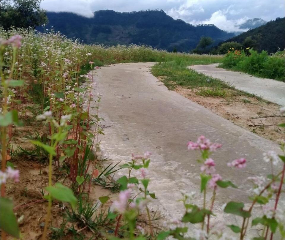 Mu Cang Chai Dream House