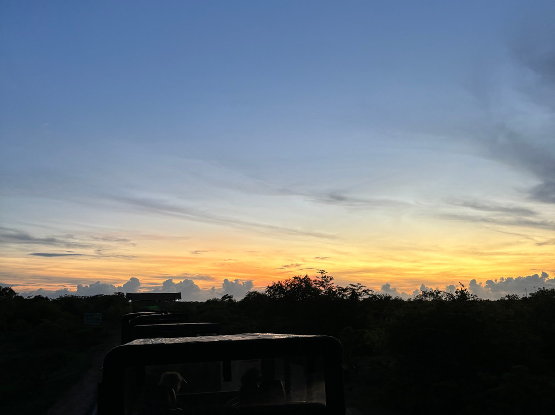 雅拉国家公园观赏野生动物-雅拉国家公园必去景点