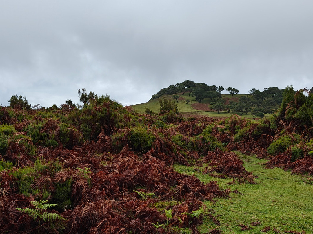 Daniel Madeira Taxis-沙尔必去景点