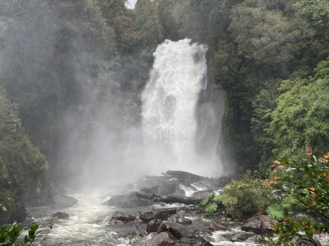 Parque Aiken del Sur-Puerto Chacabuco必去景点
