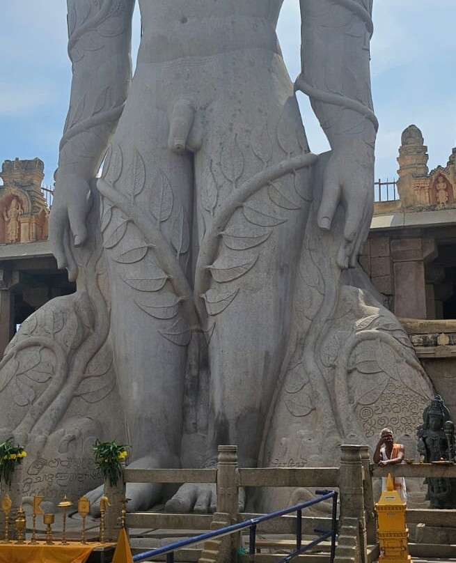 Vindhyagiri Temple景点图片