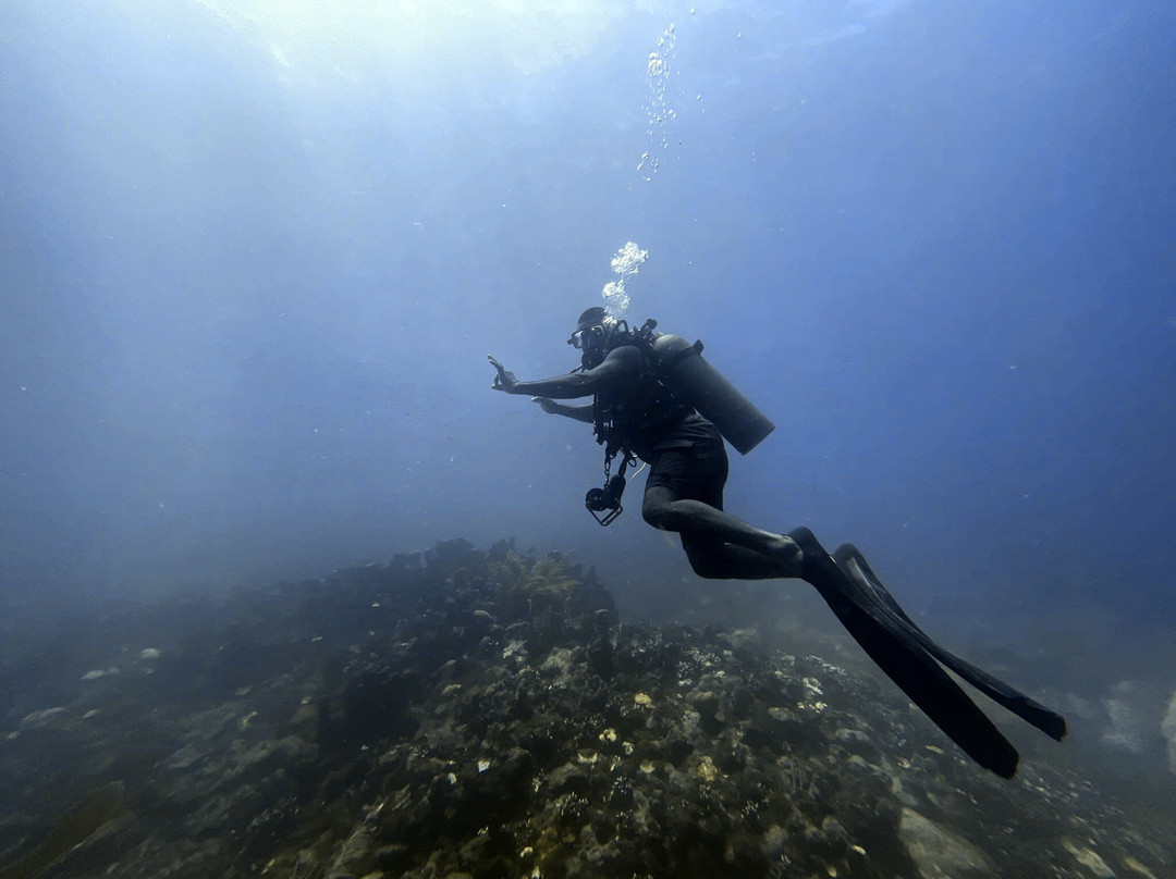 Native Spirit Scuba景点图片