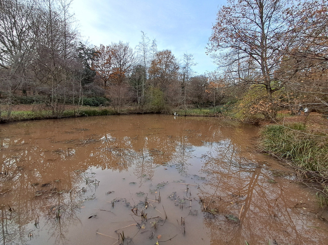 Naherholungsgebiet Jägersburg-Homburg必去景点