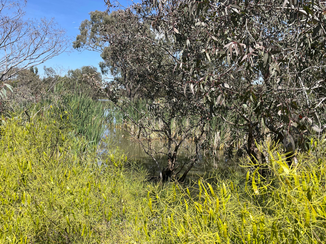 Melton Botanic Garden景点图片