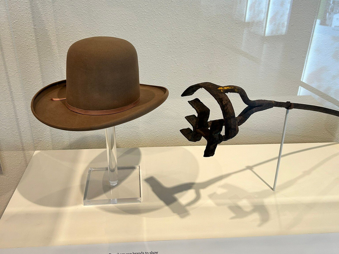 威特博物馆-圣安东尼奥市必去景点