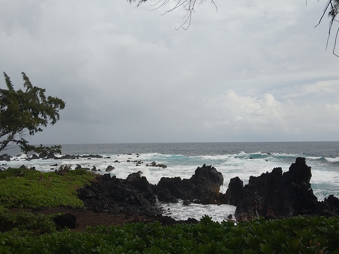 Laupahoehoe Lookout景点图片