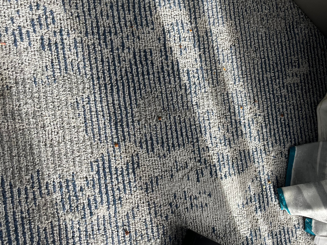 Hampton Inn By Hilton Cedar Falls Downtown主图